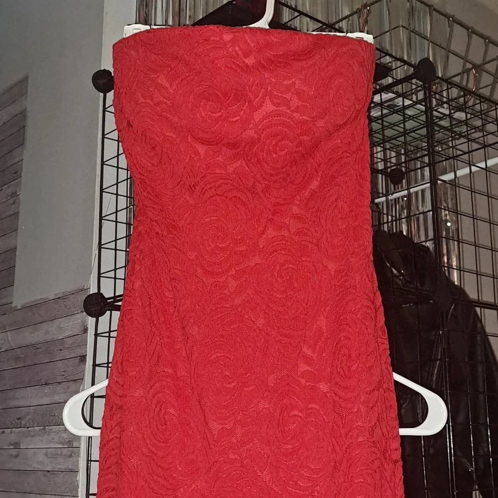 Cache brand, long, red dress - Picture 3 of 4